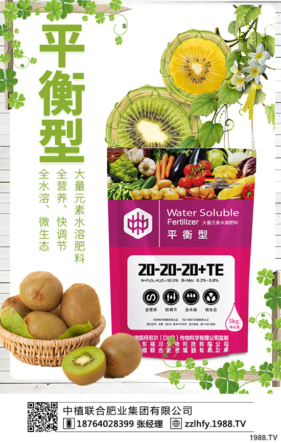 越冬蔬菜種植該注意什么？越冬蔬菜高產(chǎn)種植技術(shù)及注意事項(xiàng)