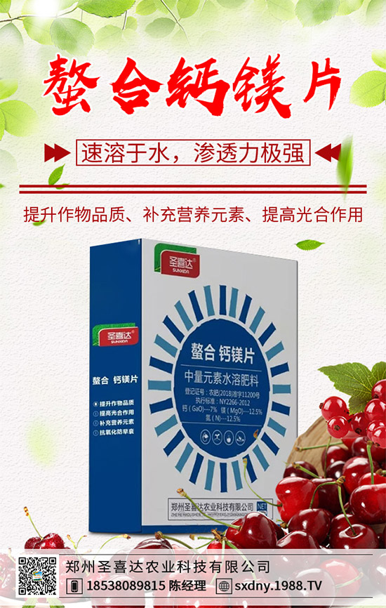 洋薊有哪些營養(yǎng)價值？洋薊的營養(yǎng)價值及功效作用