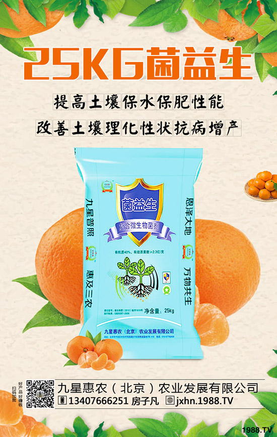 李子樹(shù)怎么種植？李子樹(shù)管理技術(shù)！