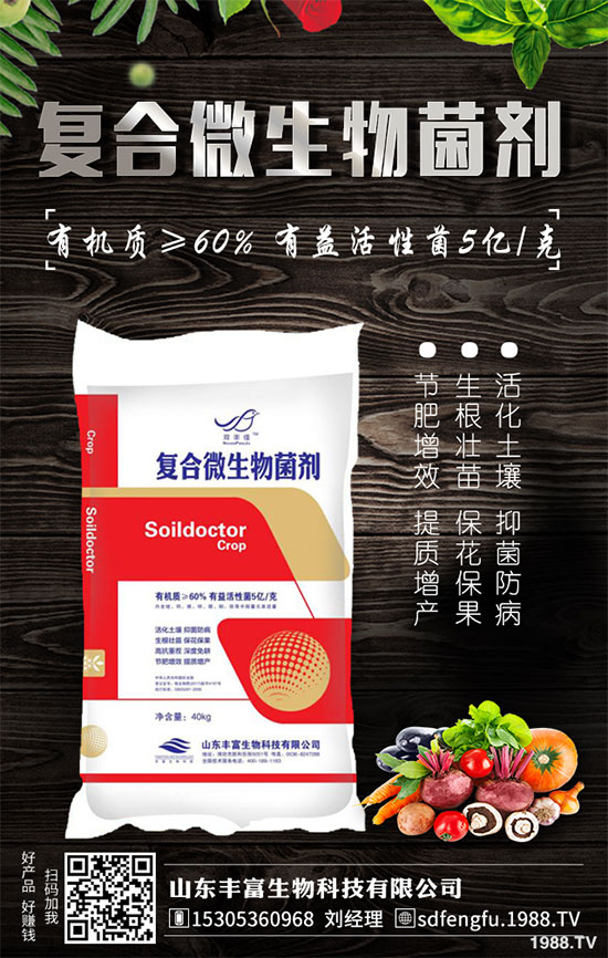 鳳梨是哪里的特產(chǎn)？2020年種植前景如何？