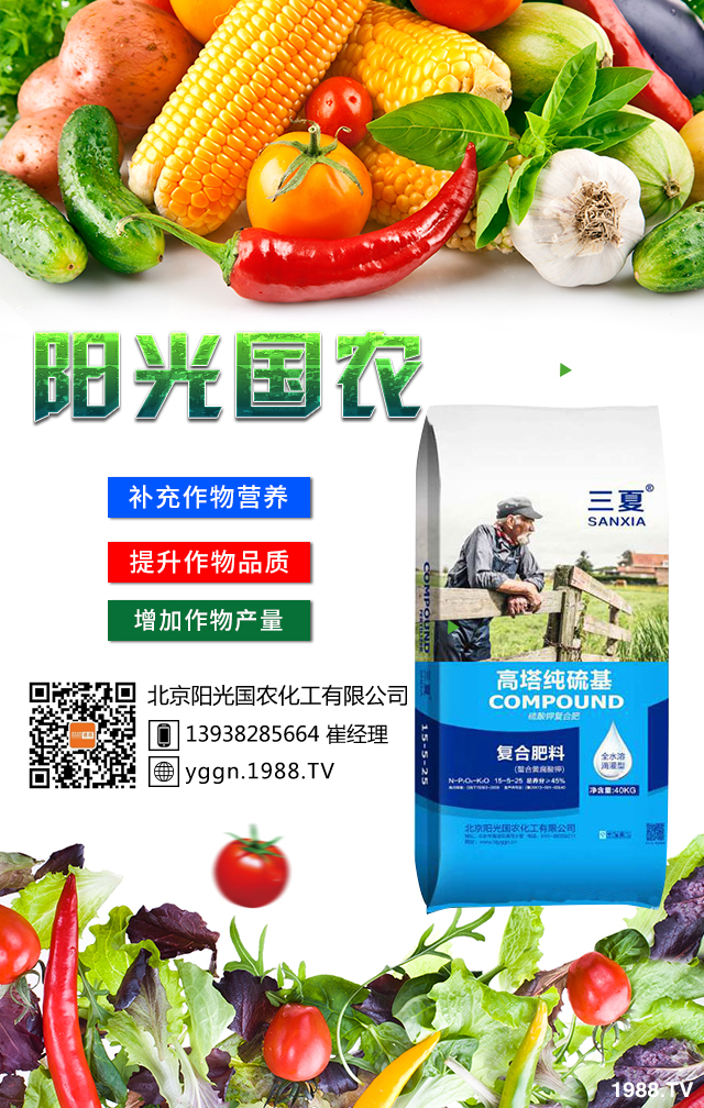     �����(y��ng)���(gu��)�r(n��ng)�ٴΔy��1988.TV�����A2020���ل�(chu��ng)�x�ͣ�