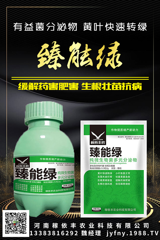 ⛷ʲ�İ�����������Ӱ���֪������