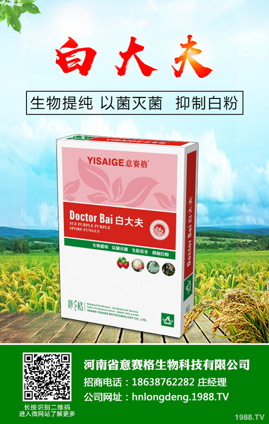 ���Ѷ���ʲô�r���^�ã����Ѷ�����ʲô������