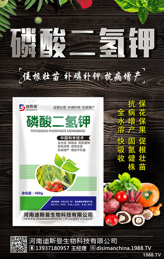 醋栗怎么種植，醋栗種植方法及日常管理技巧！