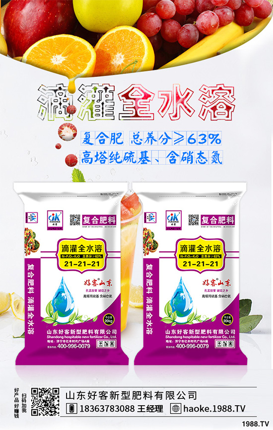 荊芥常見病害有哪些？該如何防治？荊芥常見病害的發(fā)生與防治技巧