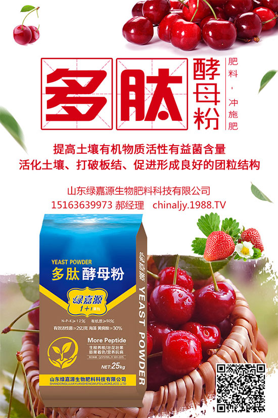 荊芥該如何種植？荊芥的種植環(huán)境要求