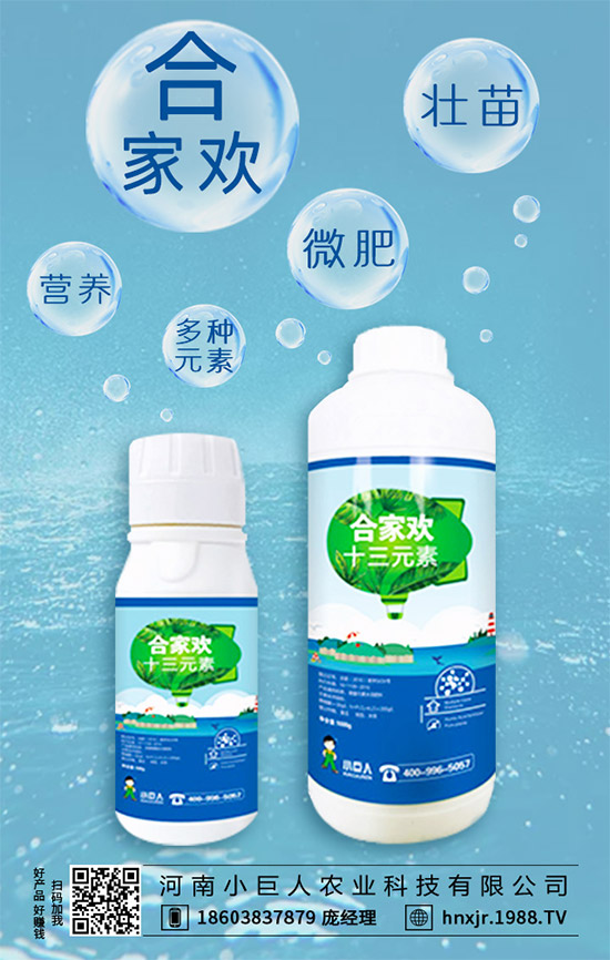 茶樹菇有哪些營養(yǎng)價(jià)值?茶樹菇的功效與作用!