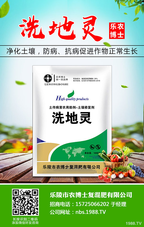 莧菜什么時候種植,莧菜的種植時間和方法!