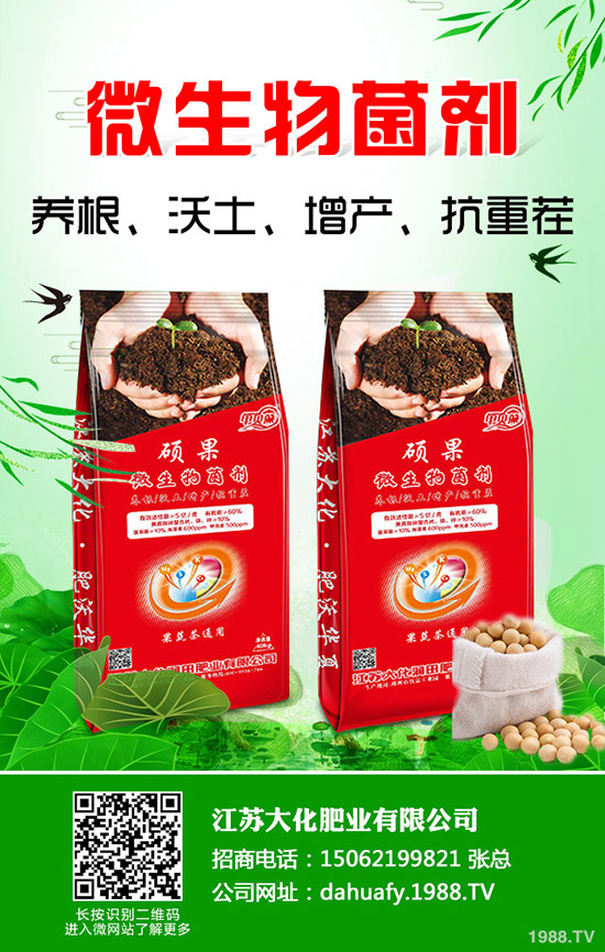 香菜一畝產(chǎn)量是多少？2020種植香菜賺錢嗎？前景和成本利潤如何？