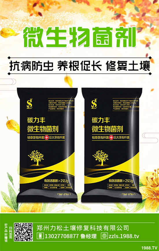 種植什么藥材能賺錢？2020年中藥材種植前景分析