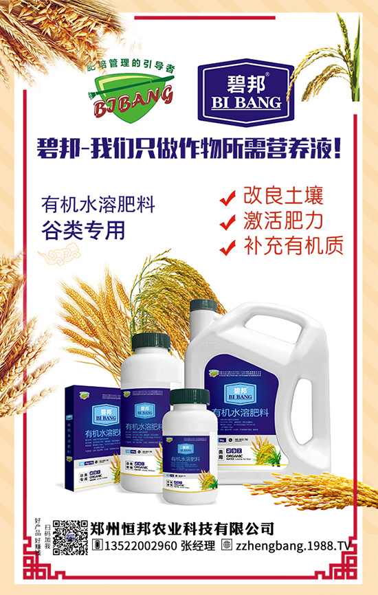 吃天麻有哪些好處？天麻的功效作用及食用禁忌