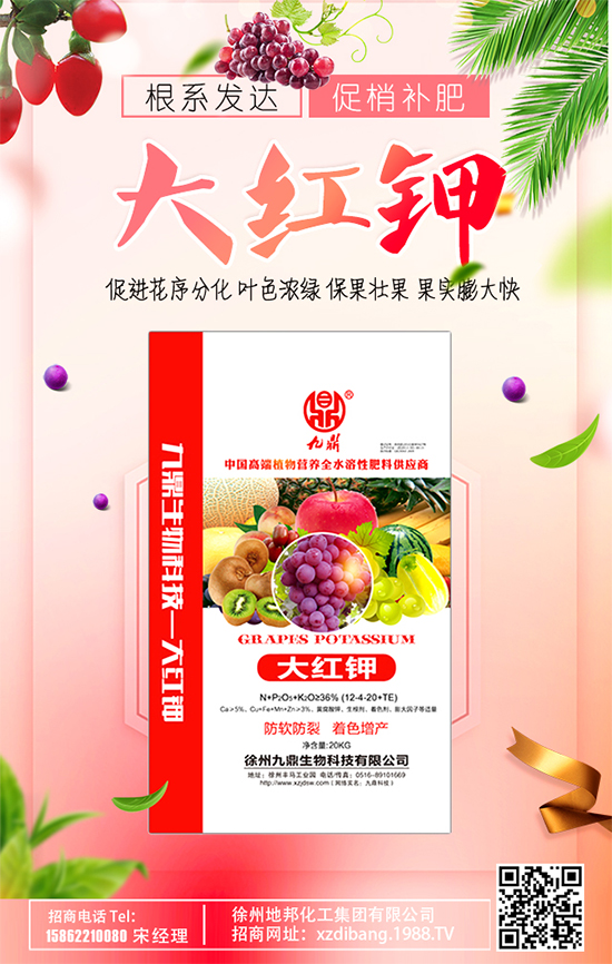 蘋果斑點落葉病啥癥狀？蘋果斑點落葉病怎么防治？