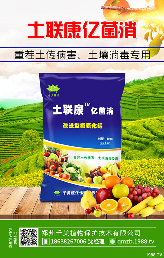     2020���؃r��������������qô��12��30�ո��؅^(q��)�����������S��r��