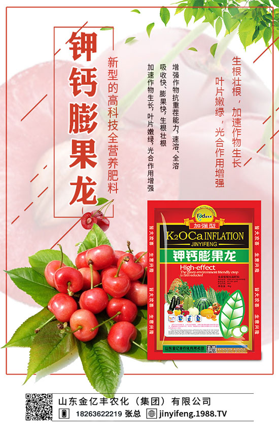 荔枝什么時(shí)間種植？荔枝怎么種植？