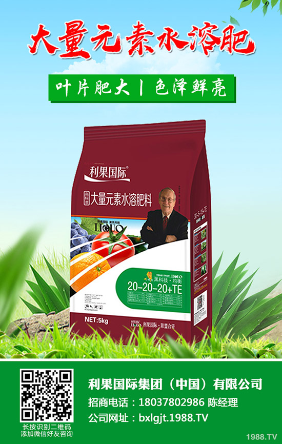 吃鐵皮石斛有什么好處，鐵皮石斛的功效與作用有哪些