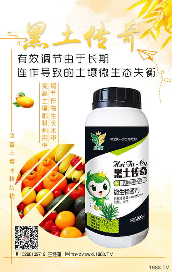 花椒樹什么季節(jié)種植？花椒樹的種植注意事項！
