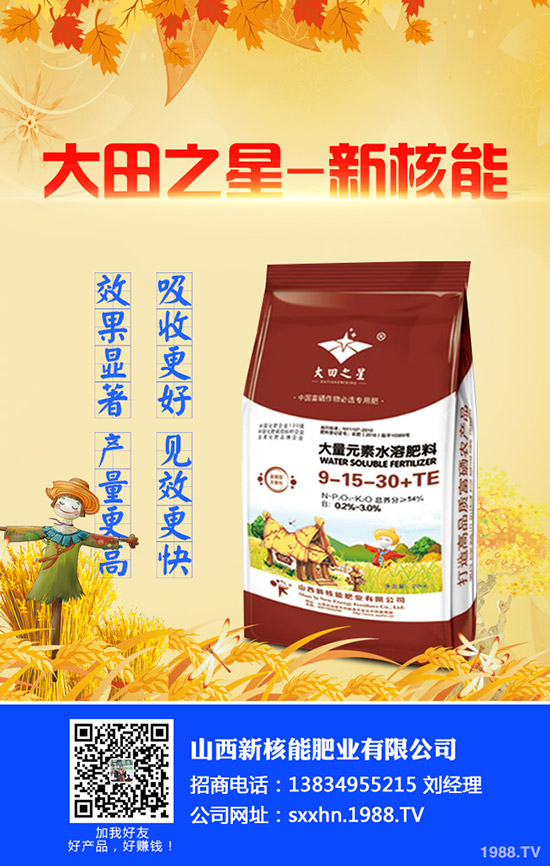 2020年早春辣椒什么時候種植?育苗技術(shù)及苗期管理要點!