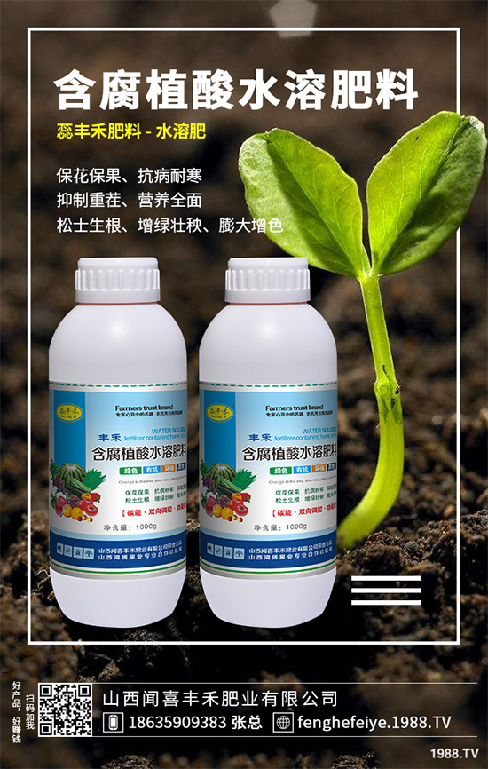 盆栽蔬菜該怎么種？盆栽蔬菜的高產(chǎn)種植技術(shù)