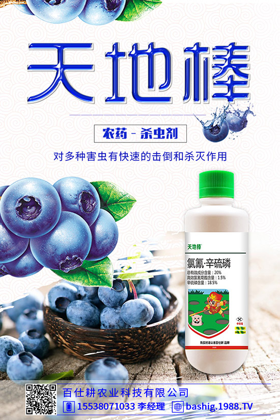 空心菜用什么肥好，空心菜的施肥技巧有哪些？
