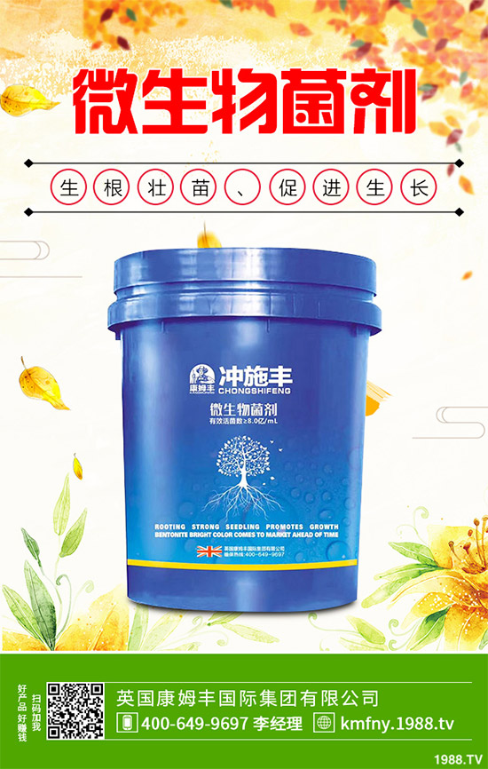 我國(guó)南方該怎樣種植藍(lán)莓？藍(lán)莓高產(chǎn)種植技術(shù)要點(diǎn)