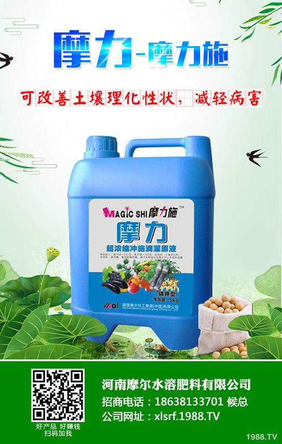 甜瓜用什么肥料好，甜瓜施肥技術(shù)有哪些？