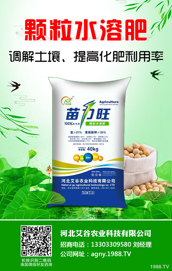 西瓜種植要高產(chǎn)，不可不看這一篇！全面實(shí)用