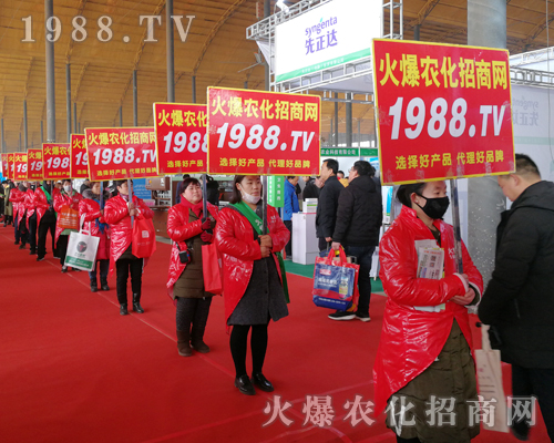     2019��30�úӱ�ֲ���������r(n��ng)���W(w��ng)Ҋ�C�ИI(y��)ʢ���ل�(chu��ng)�ѿ���