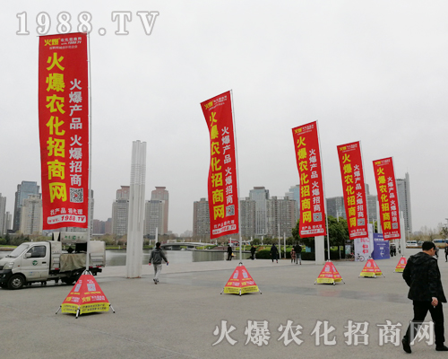     2019���ϴ���ֲ�������r(n��ng)���W(w��ng)���P�ķ���