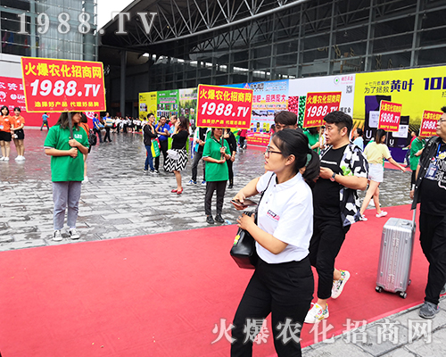     2019�����r�Y����1988.TV�đ�(zh��n)ʿ�ó������[�Լ�