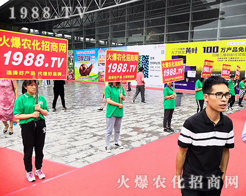     ���r(n��ng)�����̾W(w��ng)��2019�����r(n��ng)�Y�������G�ؼ����ի@�M�M