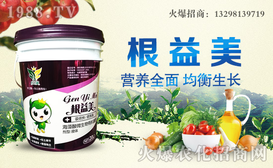 �~֮������ɹ����v�r(n��ng)���W(w��ng)���_�ؾW(w��ng)�j(lu��)������������