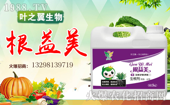 �~֮������ɹ����v�r(n��ng)���W(w��ng)���_�ؾW(w��ng)�j(lu��)������������