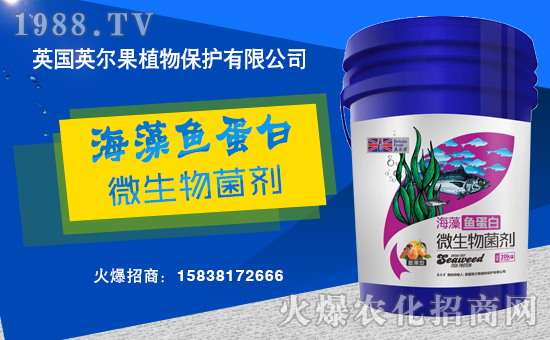 ����������(j��)��Ӣ����ֲ��y���r(n��ng)���W(w��ng)�����W(w��ng)�j(lu��)����·��