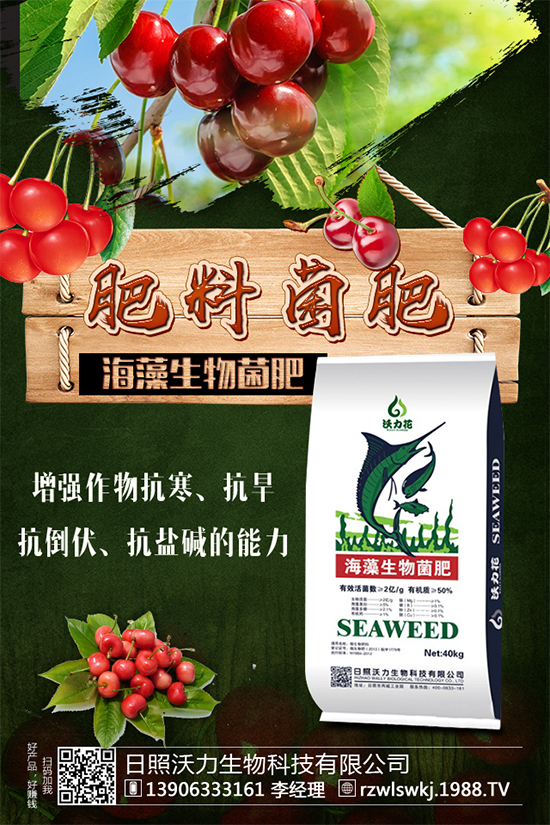 豆角要不要打尖？豆角的打尖方法有哪些？