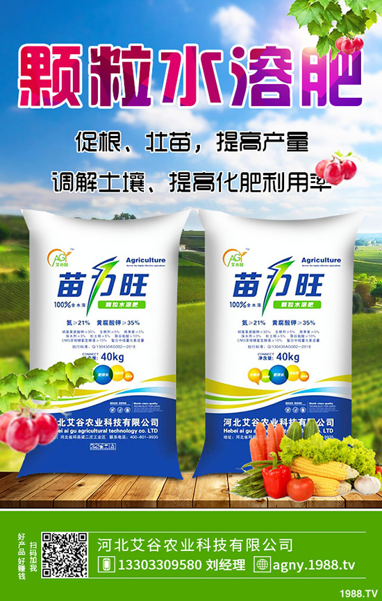     秋季草莓如何施肥？秋季草莓定植管理技術(shù)及施肥、水肥管理方法！