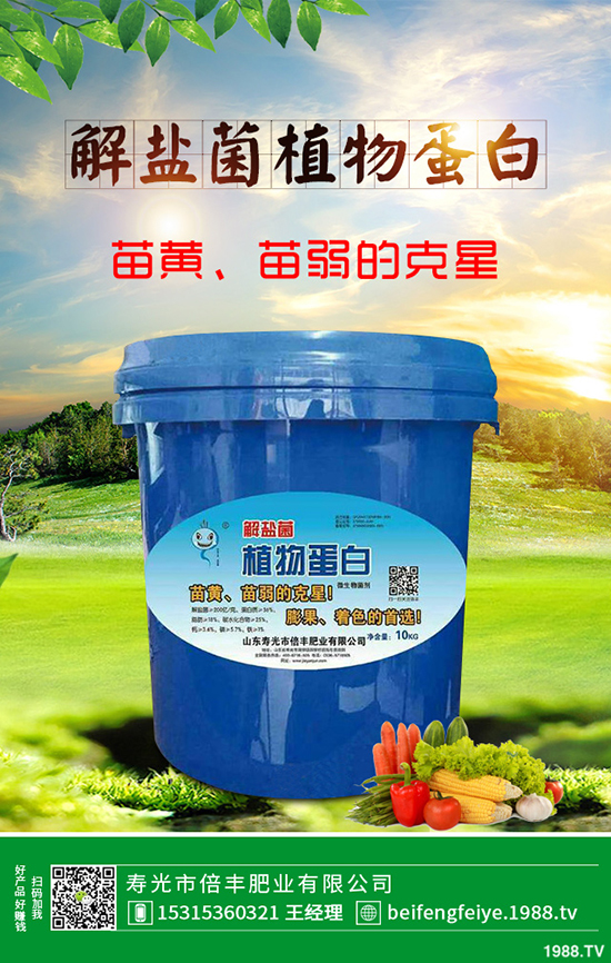 芹菜立枯病時(shí)如何引起的？該怎樣預(yù)防？芹菜立枯病大預(yù)防措施