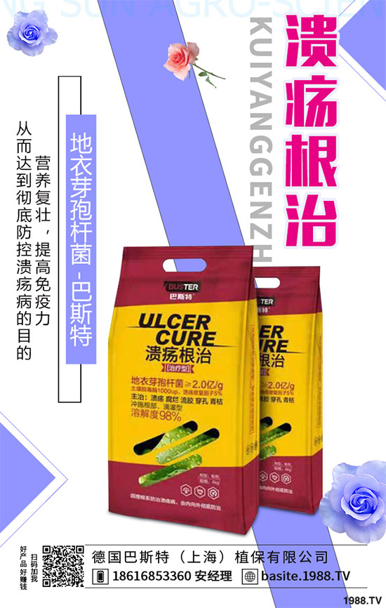 ������һ���Ǽ�(x��)���Բ��������e(cu��)���e(cu��)����Ƚ���������������ɷ����Ν�������