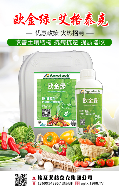 不要盲目施肥了，茶葉需要吃對糧！