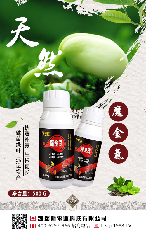 ���@��׷�ʣ��󶹸߮a(ch��n)����