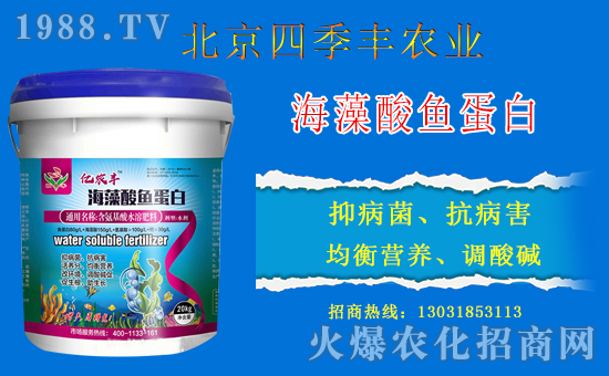 �����ļ��S�c���r(n��ng)���W(w��ng)���m(x��)ǰ�����y�ֹ���(chu��ng)���x�ͣ�