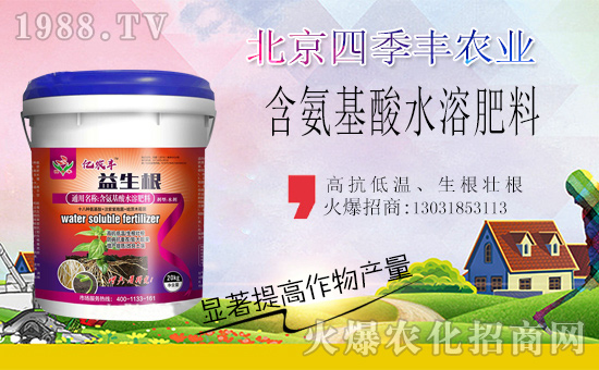 �����ļ��S�c���r(n��ng)���W(w��ng)���m(x��)ǰ�����y�ֹ���(chu��ng)���x����