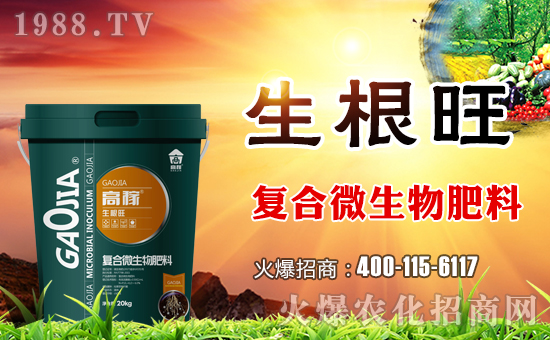 ���ϸ߼�����ɹ����v�r(n��ng)���W(w��ng)���_��(chu��ng)�W(w��ng)�j(lu��)���������E��