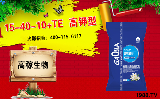 ���ϸ߼�����ɹ����v�r(n��ng)���W(w��ng)���_��(chu��ng)�W(w��ng)�j(lu��)���������E��