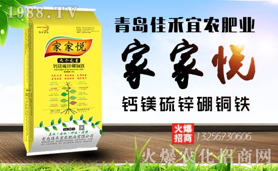 1988.TVϲӭ�����������u�Ѻ����r(n��ng)�ʘI(y��)��(qi��ng)�݁��u