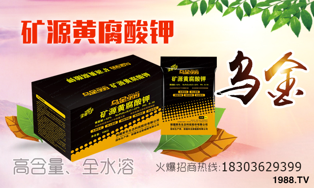 �½���ɫ���B(t��i)��(qi��ng)��(sh��)���v���r(n��ng)�����̾W(w��ng)����(sh��)�F(xi��n)��I(y��)�°l(f��)չ��