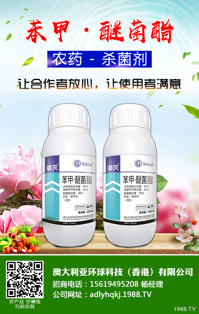 甜瓜根腐病怎么防治效果好？冬季棚室甜瓜根腐病防治