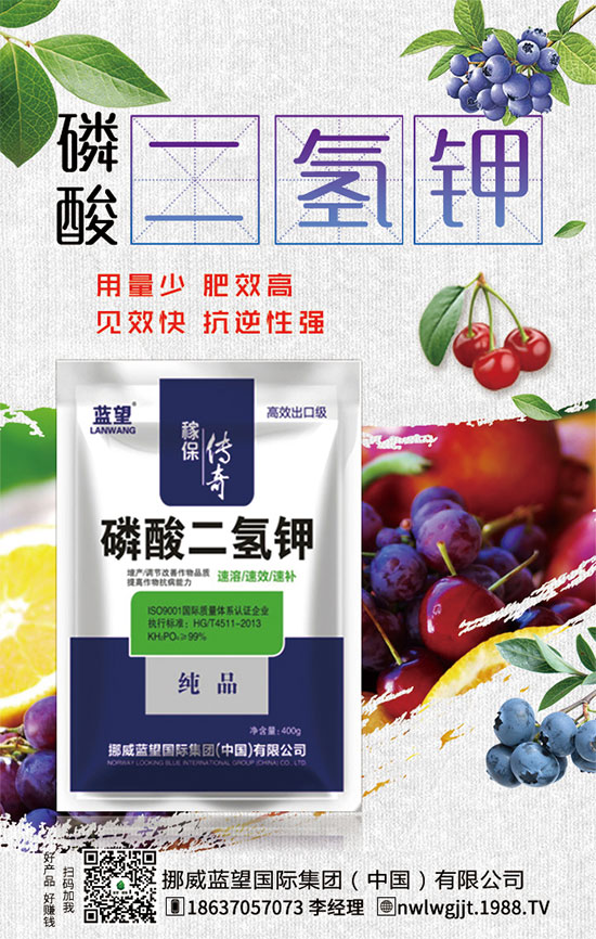 ������t����ֲע�����(xi��ng)��������t������ڹ�������