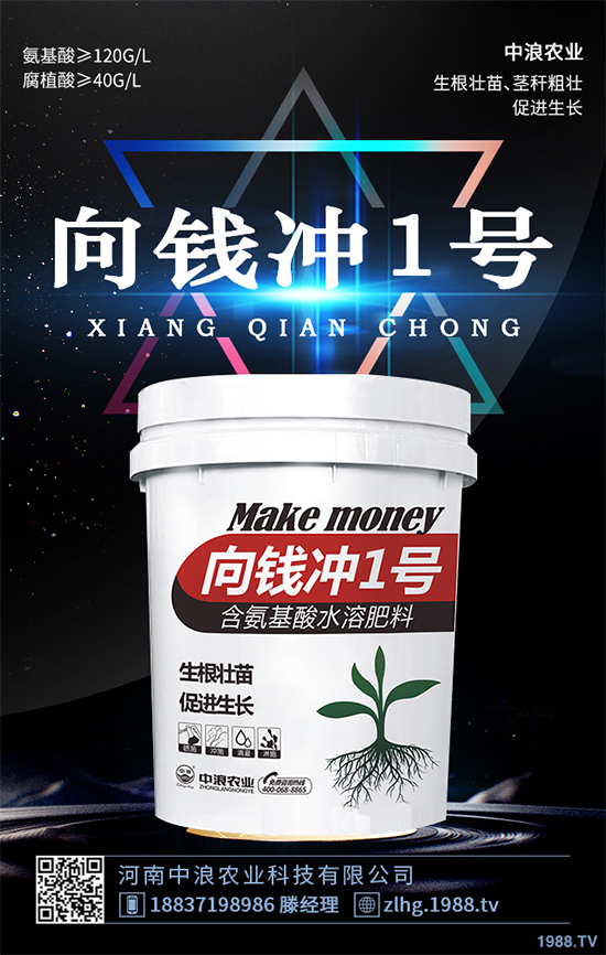 芥菜什么時候種植效益更好？芥菜高產(chǎn)種植技術(shù)要點