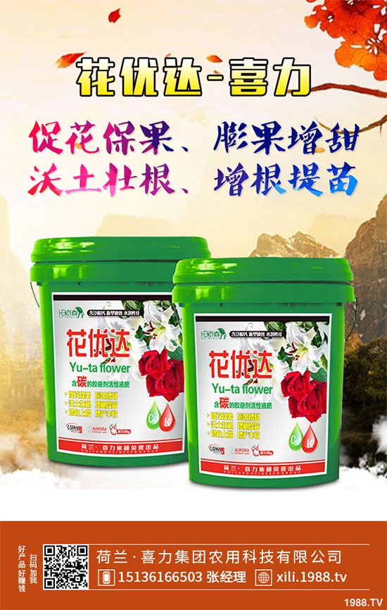 芥菜種植需要注意什么？芥菜高效種植技術(shù)及管理事項(xiàng)