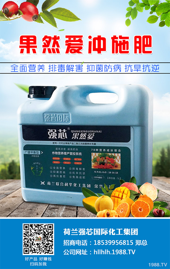 芥菜種植需要注意什么？芥菜高效種植技術(shù)及管理事項(xiàng)